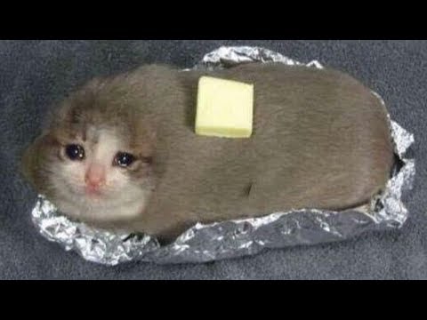 CURSED IMAGES
